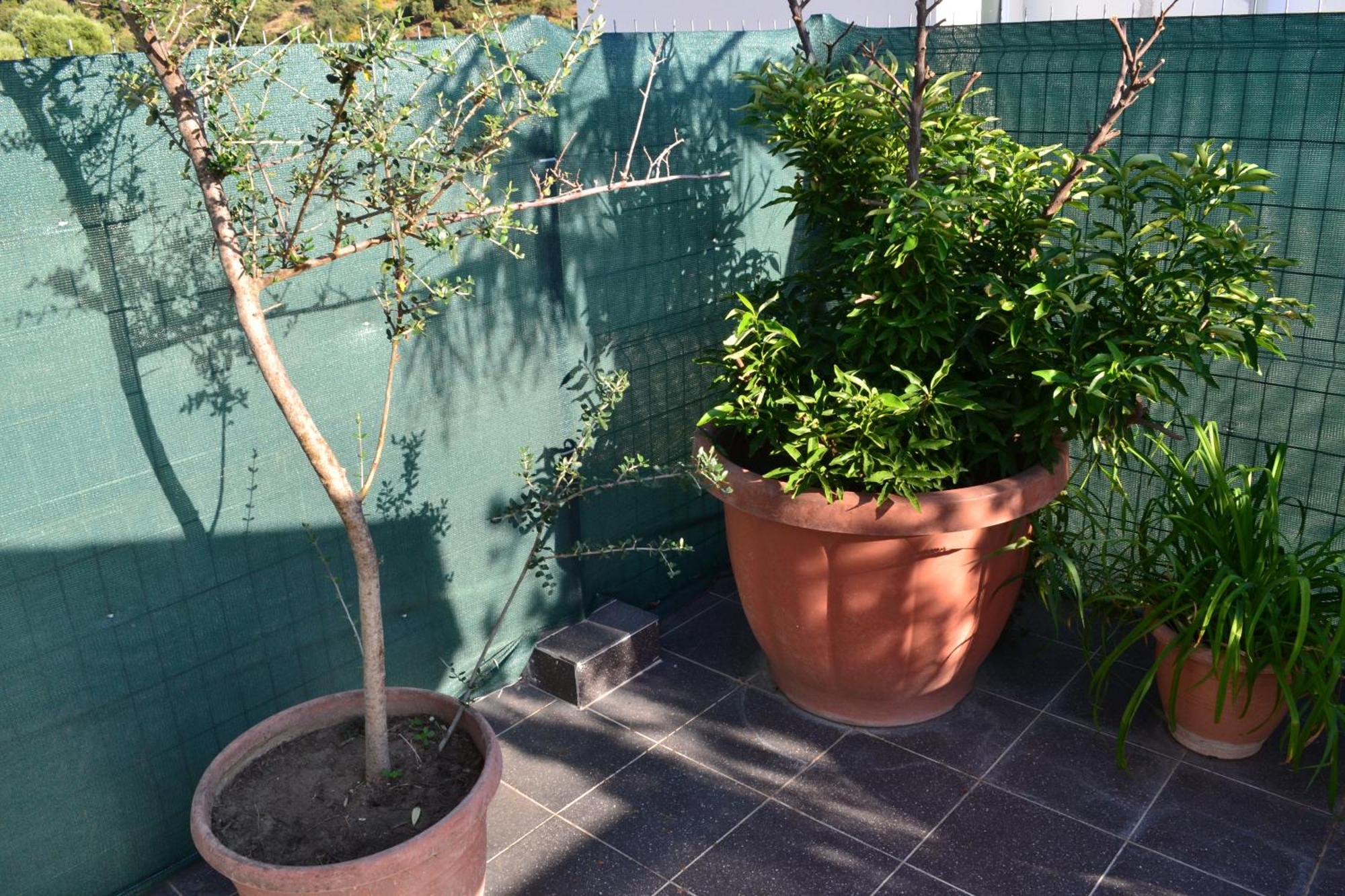 Seaview Penthouse Terrace & Garage Apartment Vlore Bagian luar foto